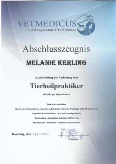Zertifikat für den Abschluss als Tierheilpraktiker von Melanie Kerling.